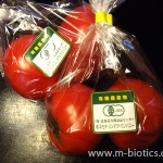 有機栽培トマト